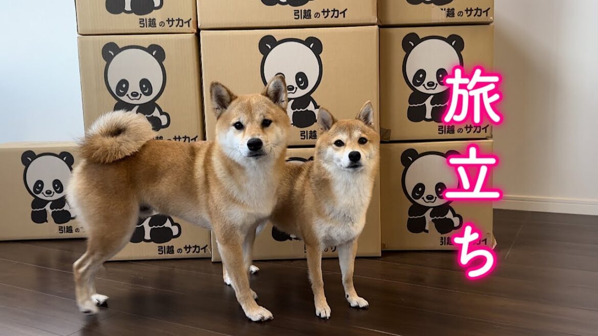 遂に福岡を出る日がやってきました！