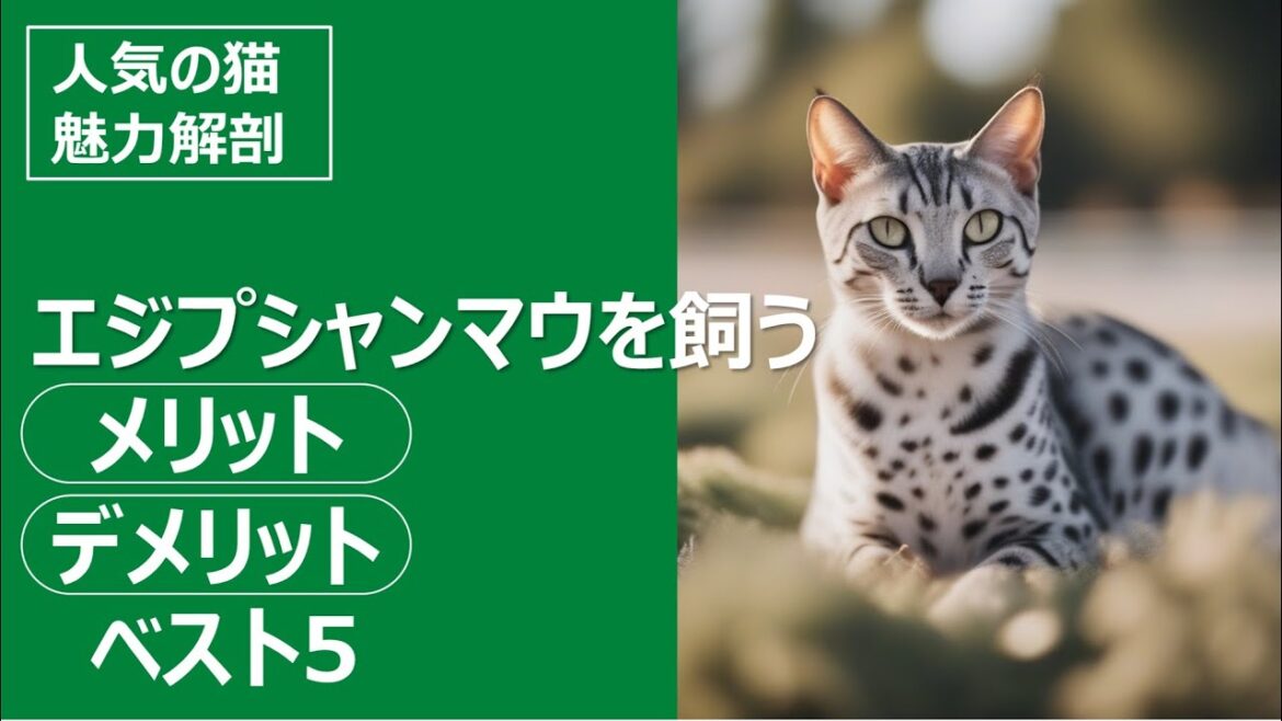 人気の猫 魅力解剖！エジプシャンマウを飼うメリット・デメリットベスト5
