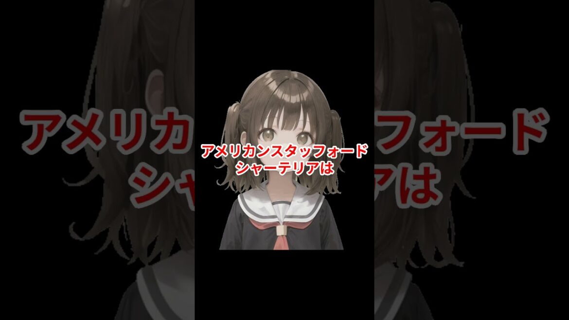 アメリカンスタッフォードシャーテリアの豆知識・雑学51[ミニブルドッグ][人懐っこい性格] #犬 #ワンちゃん #愛犬  #犬のいる暮らし #犬のいる生活 #犬との暮らし #犬動画 #1分雑学