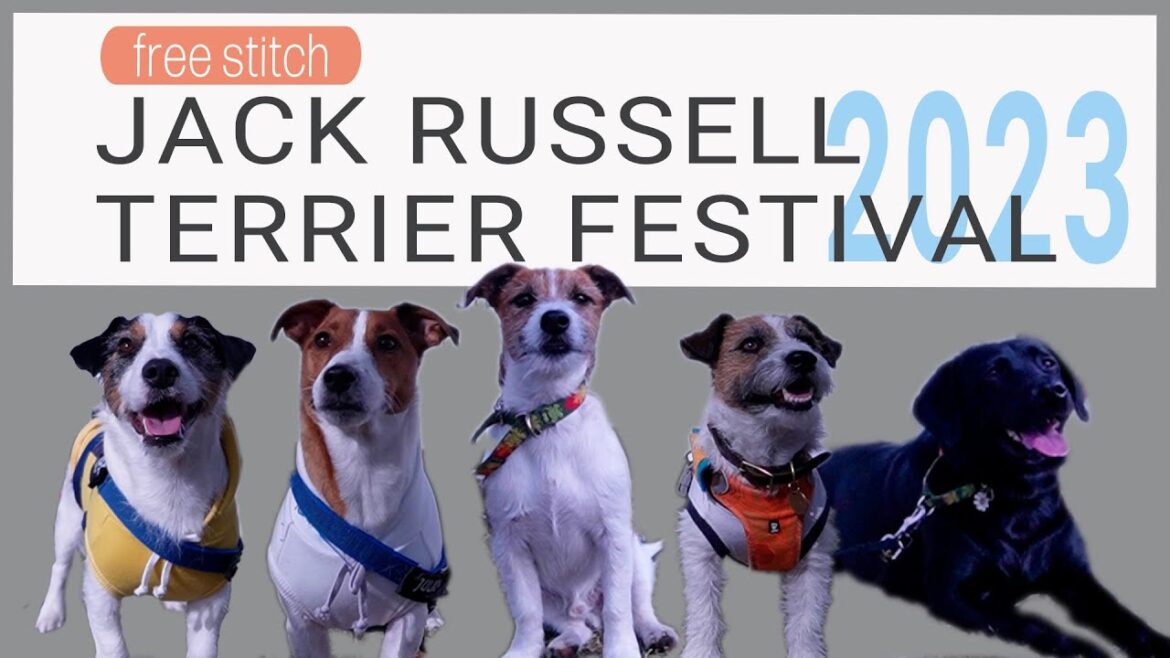 JACK RUSSELL TERRIER FESTIVAL 2023　参加してきました！