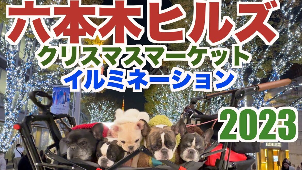 六本木ヒルズ クリスマスマーケット2023 【 フレンチブルドッグ french_bulldog 】 イルミネーション 愛犬とランチ