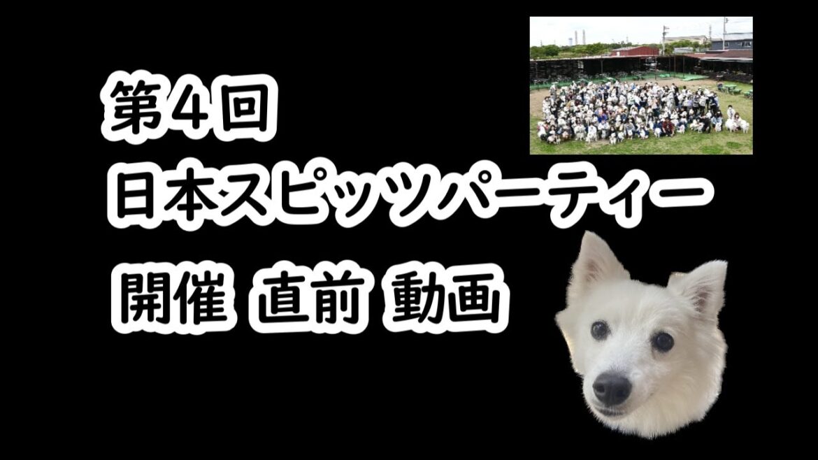 第４回スピッツパーティーに参加する前に見る動画