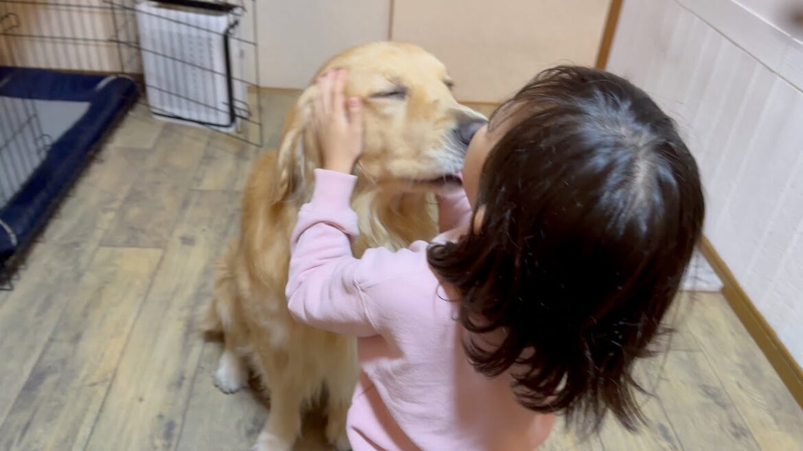 ずっと一緒にいたいと甘える愛犬に、小さなお母さんが出来る優しい行動。。