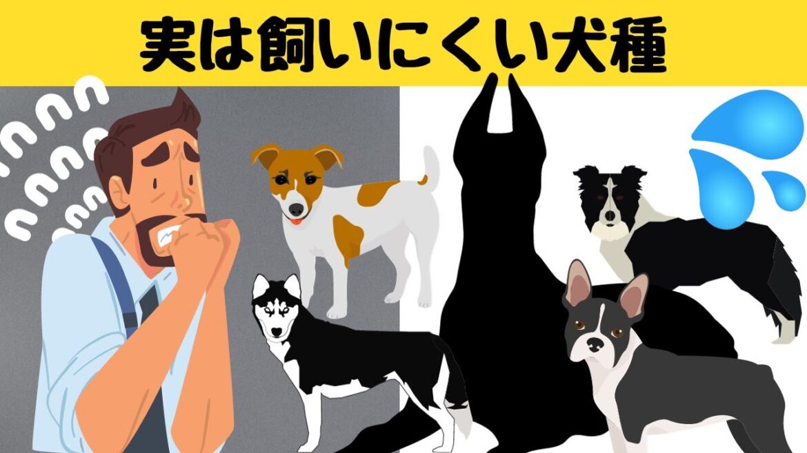 【マジでやめとけ!】意外と飼いにくい犬種6種とその理由 【マジでやめとけ!】意外と飼いにくい犬種6種とその理由
