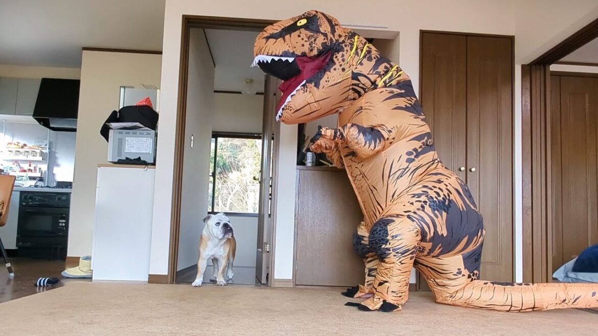 自分の部屋にゴジラがいた時のブルドッグのリアクションが200点すぎましたｗ