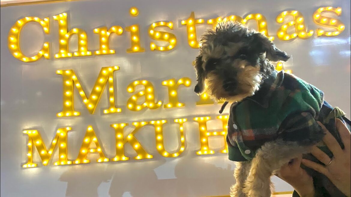 20231125☆ Xmasmarket に 行ってきたよ🐾