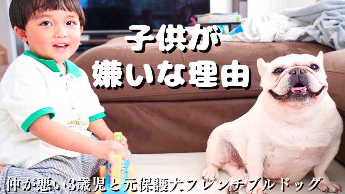 愛犬の子供嫌いの理由がこの動画に詰まってます