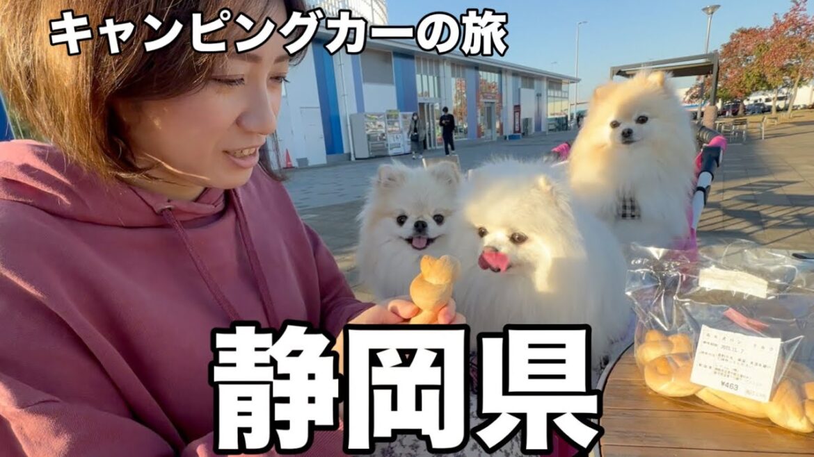 ①夫婦がキャンピングカーで愛犬達と車中泊しながら静岡県旅行