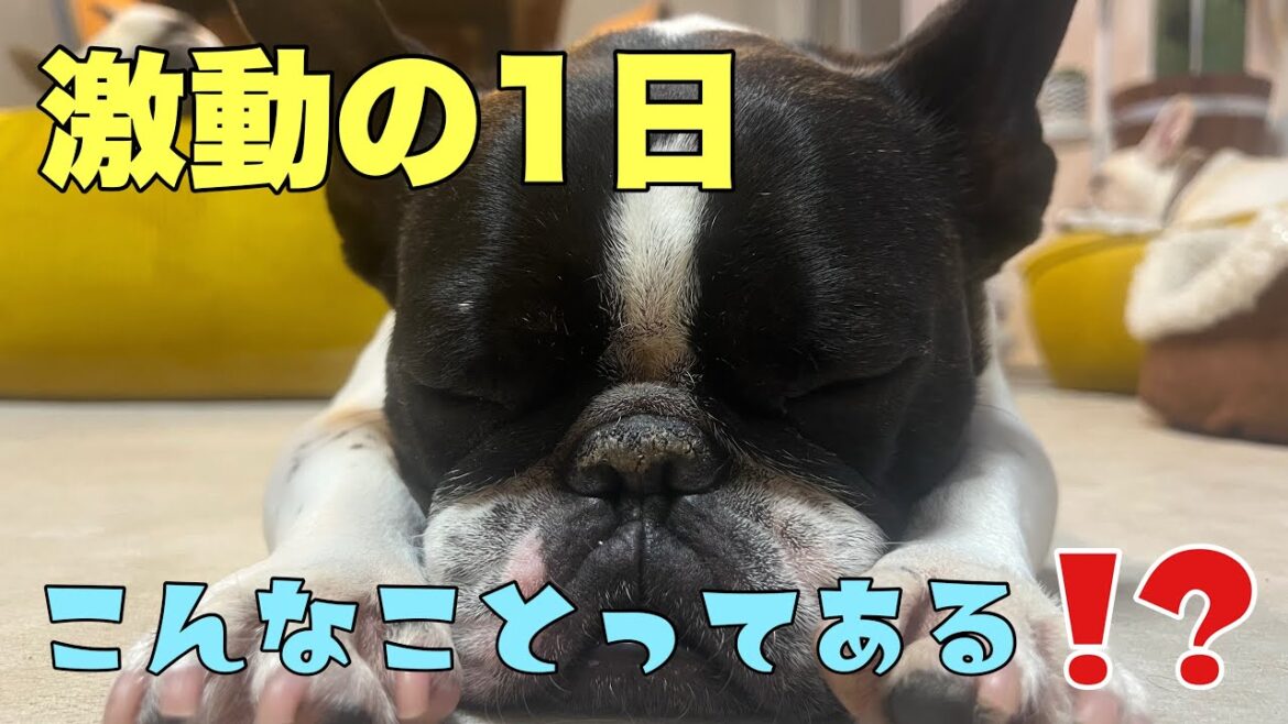次から次におこる負の連鎖！一年の厄が一気にやってきた1日