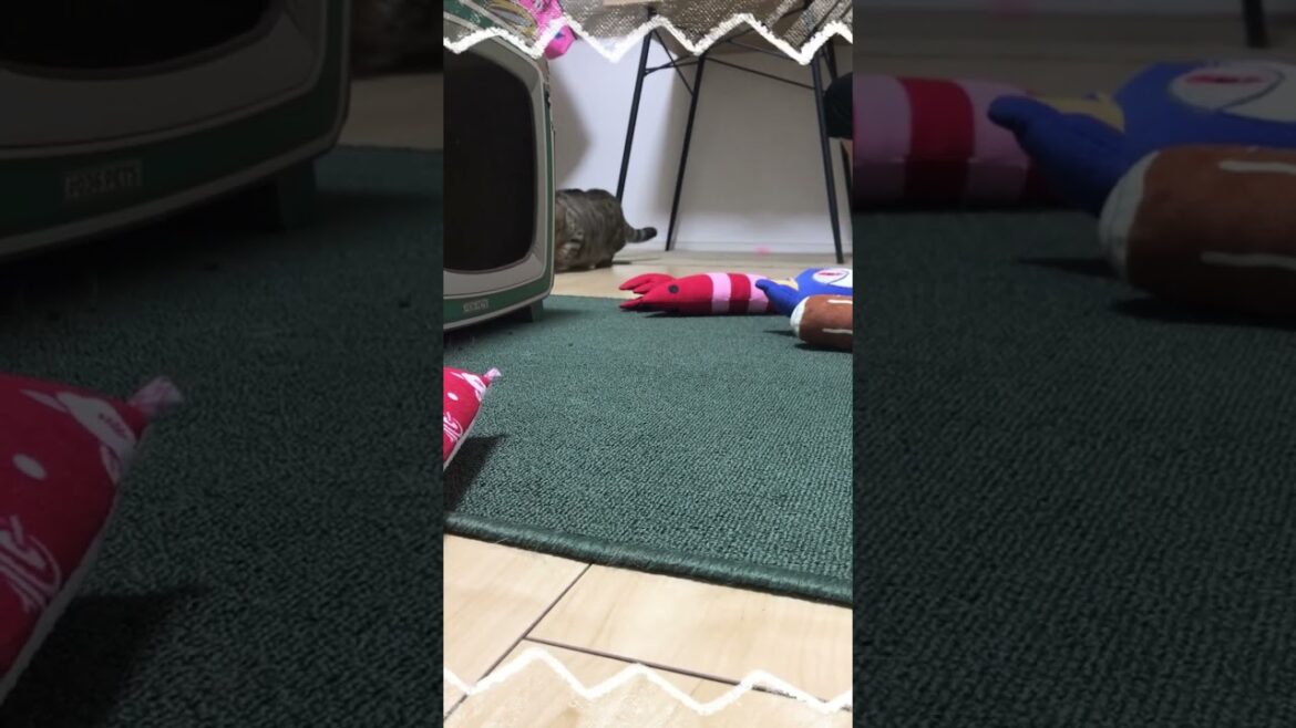 見えてるぞ
