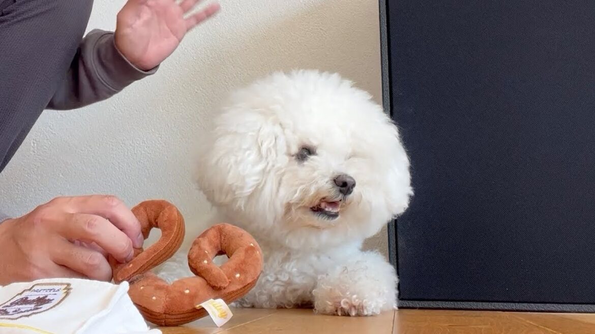 わたまるは今日も元気です