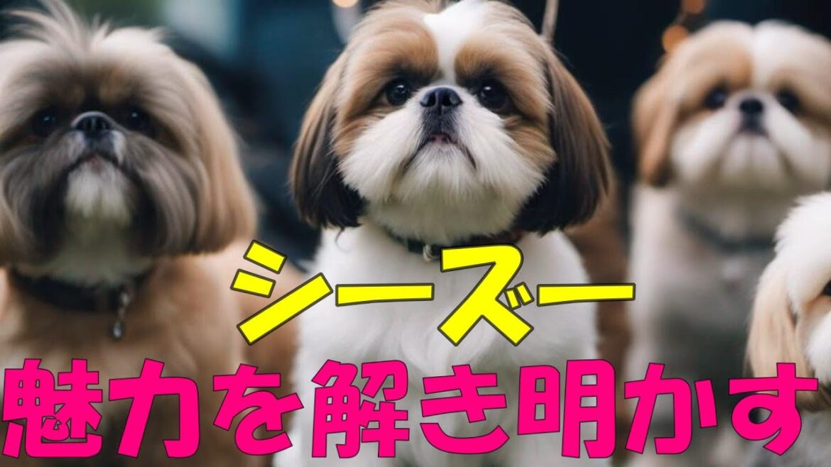 【シーズー】の魅力に迫る！なぜ多くの人が虜になるのか？