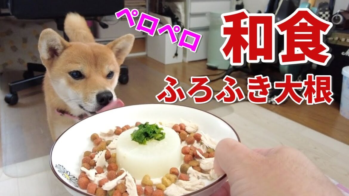 【ペロペロ攻撃やめーい】ご飯の準備が待ち切れない!チキン&ふろふき大根 小夏1歳 ASMR  I made Japanese food with radish for my dog. 【ペロペロ攻撃やめーい】ご飯の準備が待ち切れない!チキン&ふろふき大根 小夏1歳 ASMR  I made Japanese food with radish for my dog.