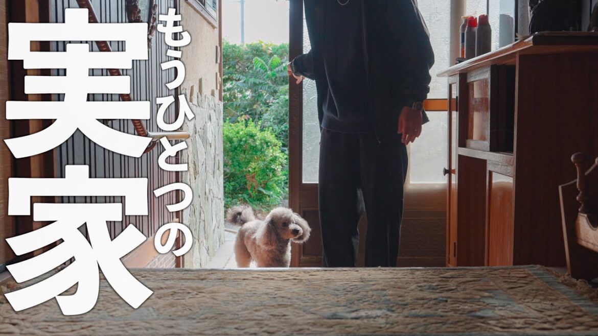 🐶【車旅#4】ついに鹿児島到着！愛犬と父の実家に泊まろうと思ったらまさかの状態でした、、、