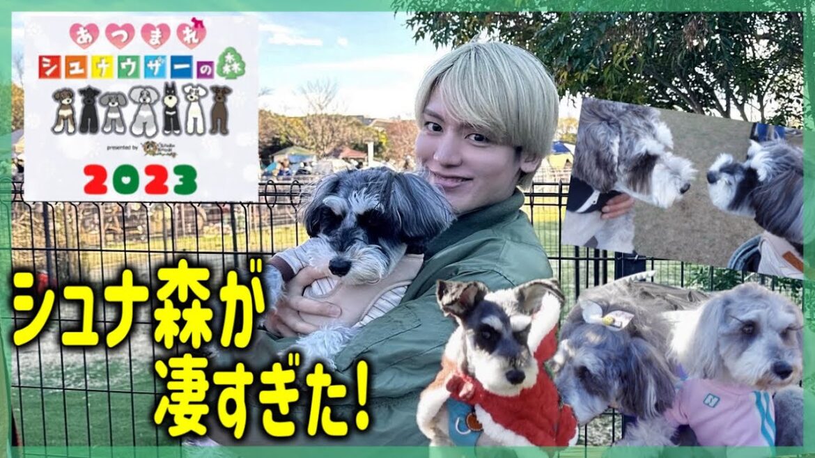 🐶【1,000匹集合】シュナ森2023クリパが凄すぎた！