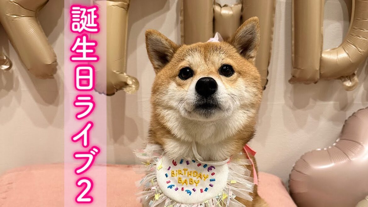 誕生日ライブの続きです🙇‍♀️