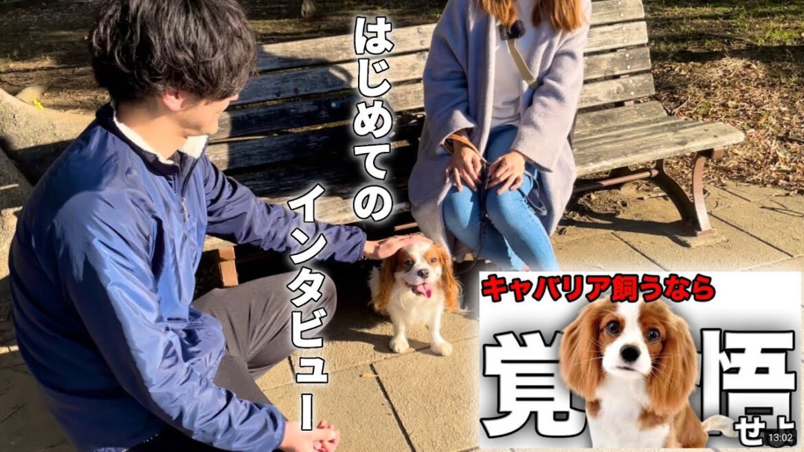 人見知りする愛犬がはじめてインタビューを受けてみたらまさかの行動…！？