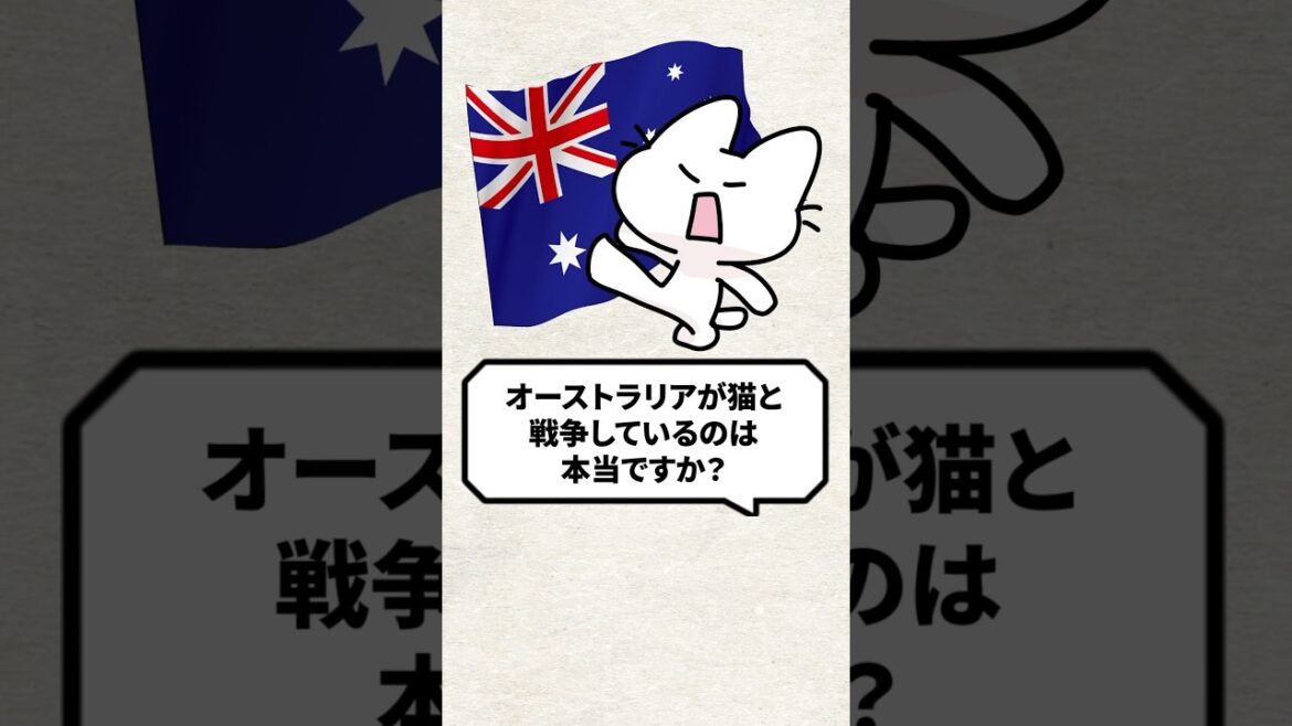 Q：オーストラリアが猫と戦争してるって本当？ #猫 #保護猫 #cat