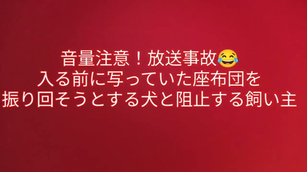 お預けした日のエースに密着しました。