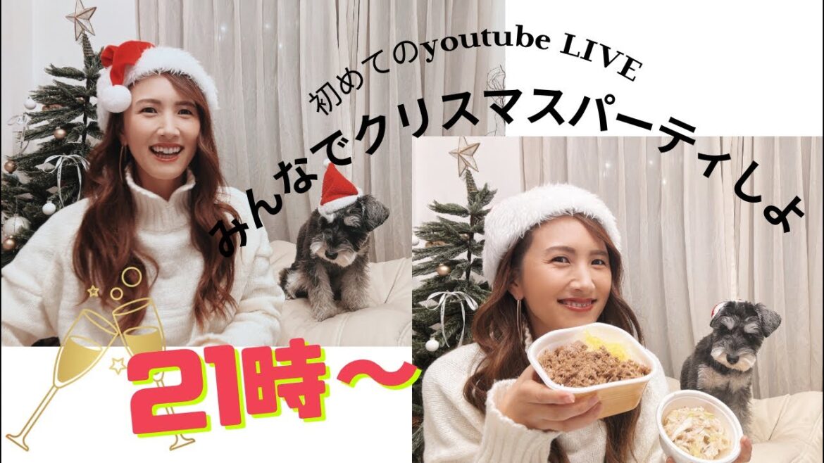 愛犬と旅するトラベラー　YUMI and HIJIKI がライブ配信中！