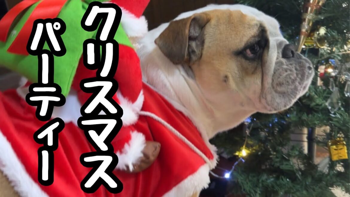 パンチ家のクリスマスパーティーに長女の友達が乱入！