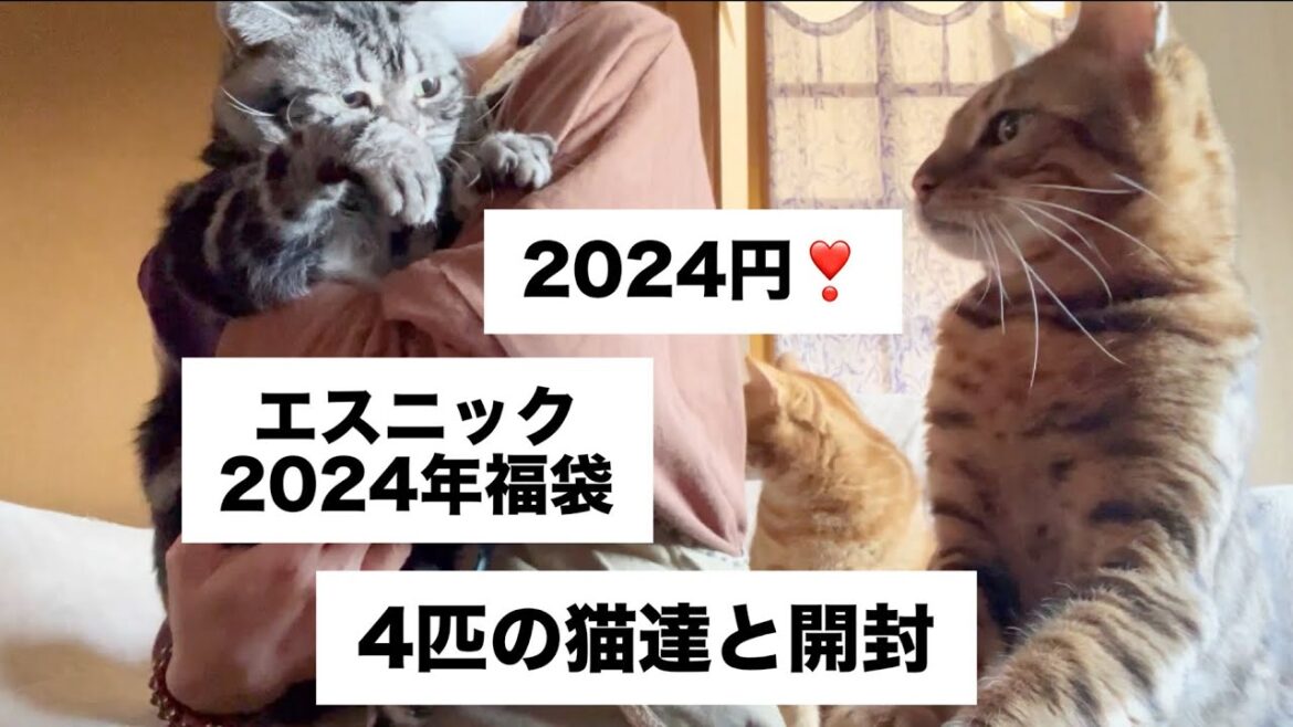 2024円★エスニック福袋 #猫動画 #開封動画 #muddy 50代コーデ.2024年オススメ福袋.当たり？ハズレ？大当たり.アパレル.レディース.主婦コーデ