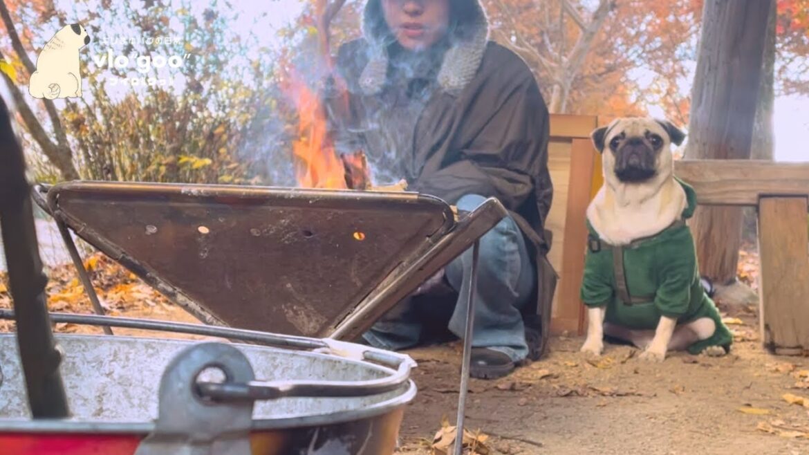 たき火の暖かさにうっとり...。インドア派アラサー男女と2歳パグが焚き火に挑戦したら失敗だらけだった件