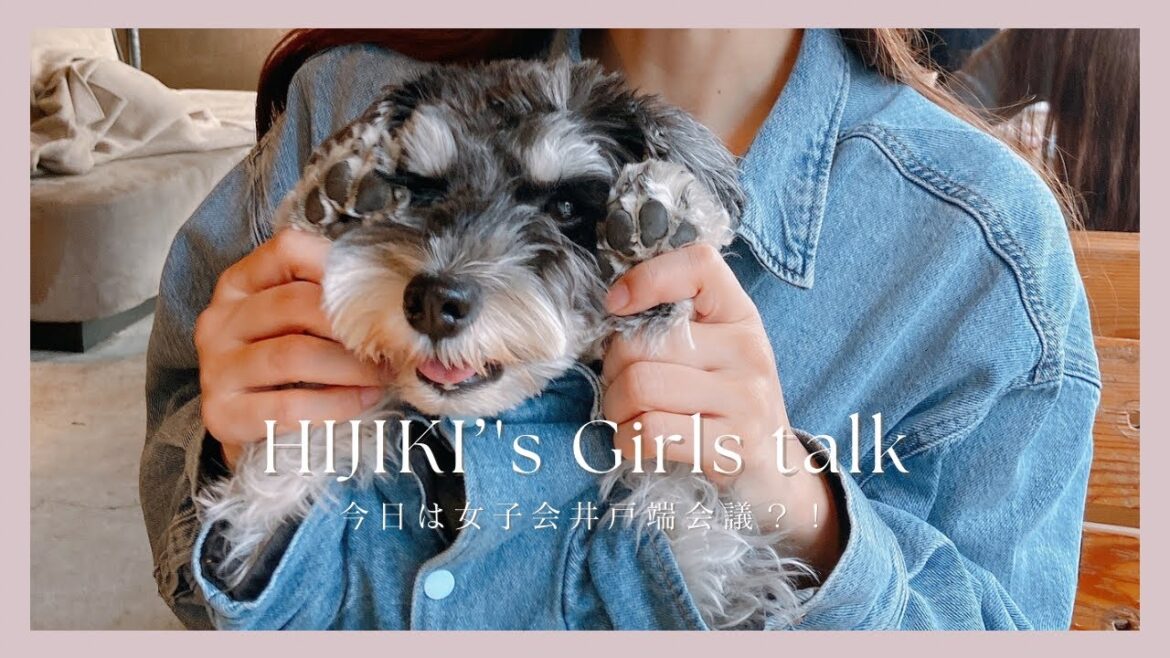 お友達に会った日。女子会に混ざるミニチュアシュナウザー(男) お友達に会った日。女子会に混ざるミニチュアシュナウザー(男)