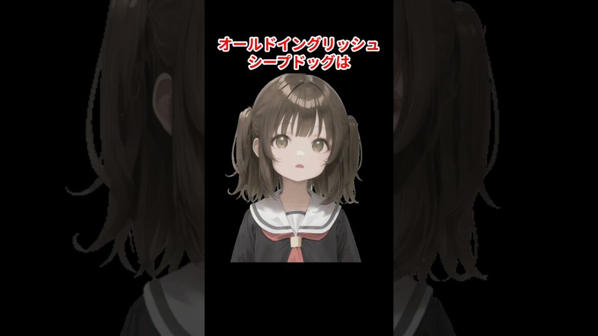 オールドイングリッシュシープドッグの豆知識・雑学66[ふわふわの秘密][家族としての信頼] #犬 #ワンちゃん #愛犬  #犬のいる暮らし #犬のいる生活 #犬との暮らし #犬動画 #1分雑学