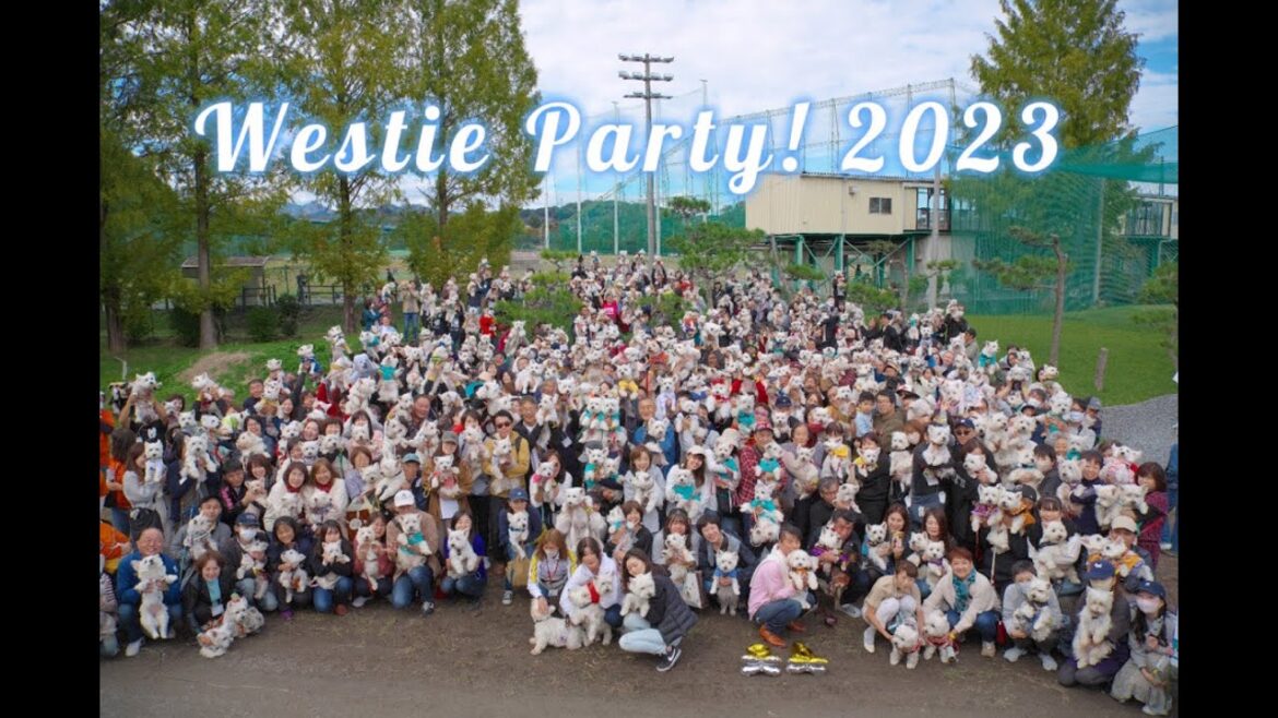 The BIGGEST Westie Dog Meet | Westie Party Japan 2023 | ウェスティパーティー