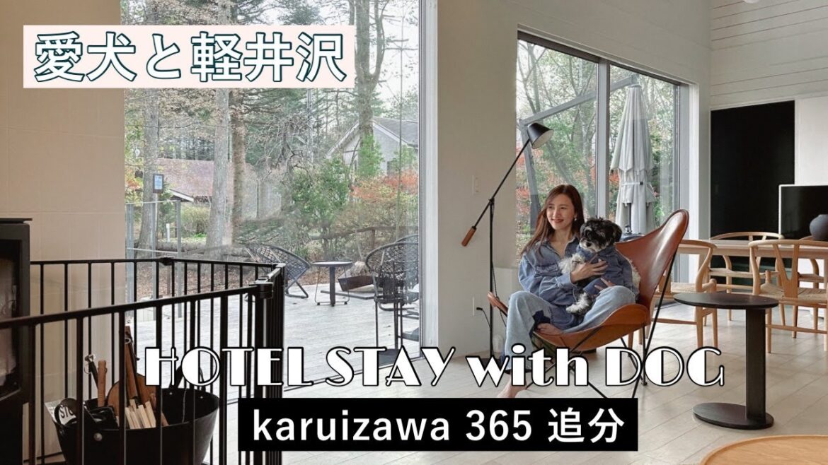 【愛犬と泊まれるホテル】軽井沢の貸別荘で愛犬と過ごす冬の karuizawa365