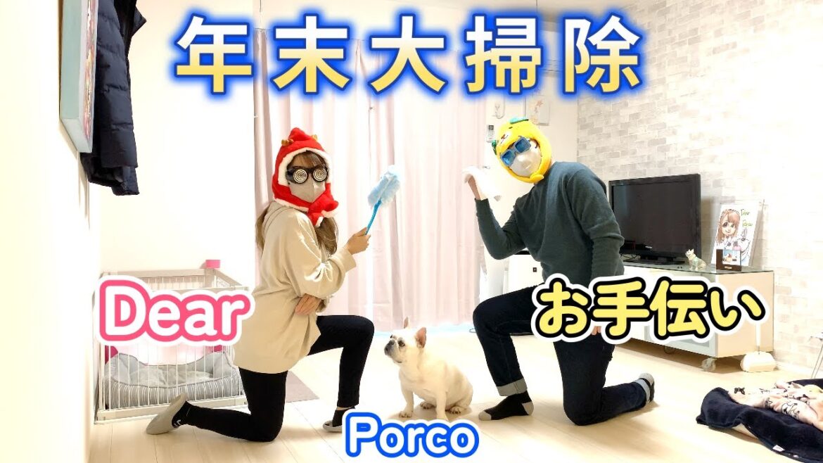 年末大掃除開始！愛犬の厳しいチェック入りまーす【フレンチブルドッグ frenchbulldog】