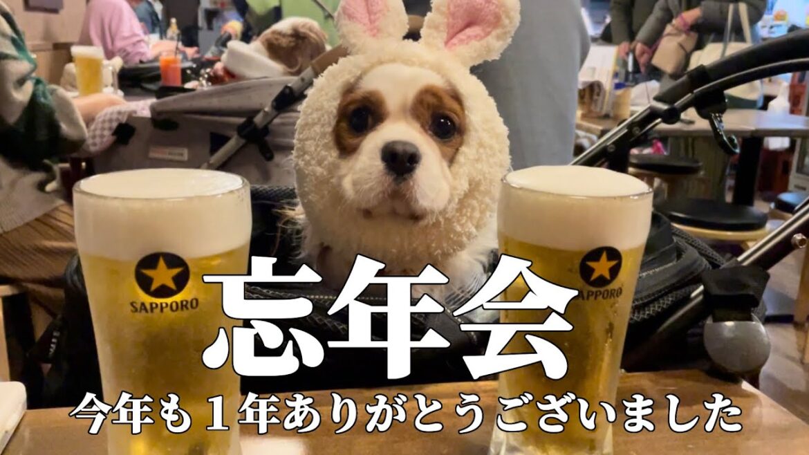 キャバリアだらけの忘年会in串銀蔵【今年も１年ありがとうございました！】