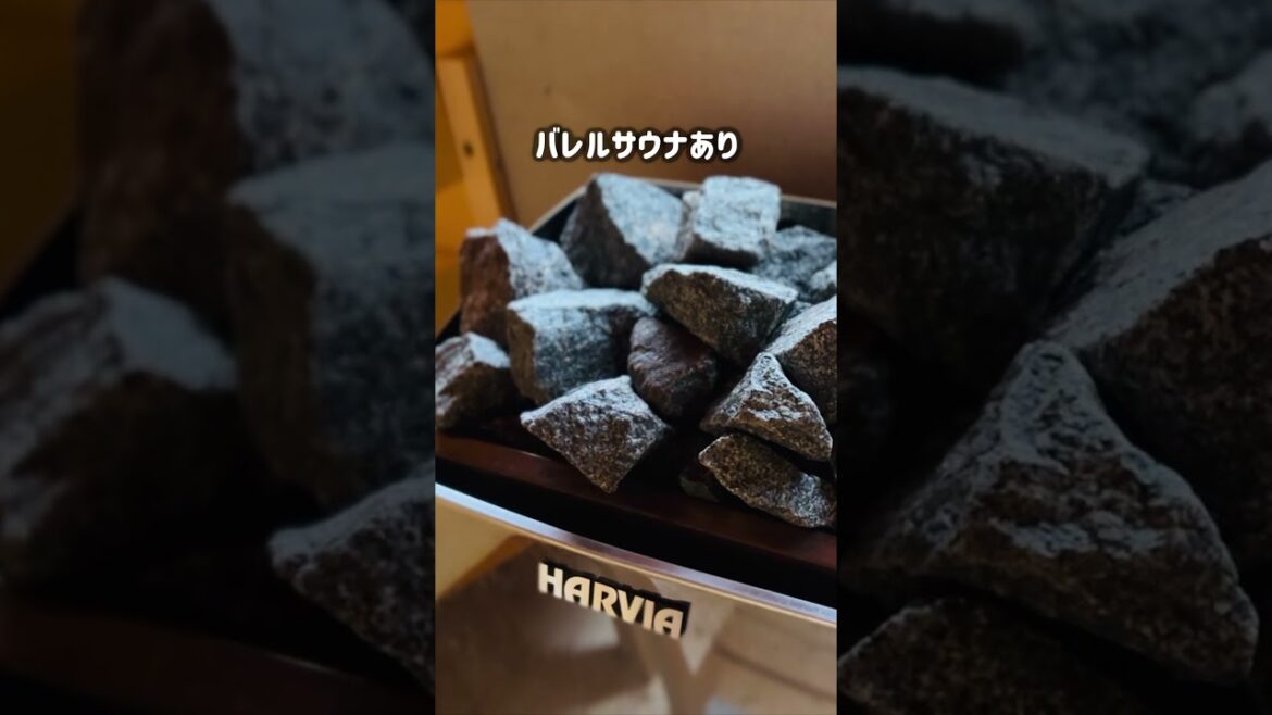 バーニーズマウンテンドッグと泊まる千葉の宿「五氣里-itsukiri-」