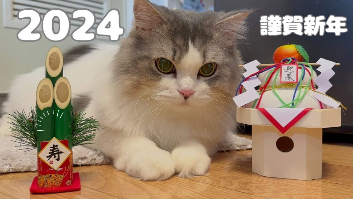 2024年明けましておめでとうございます