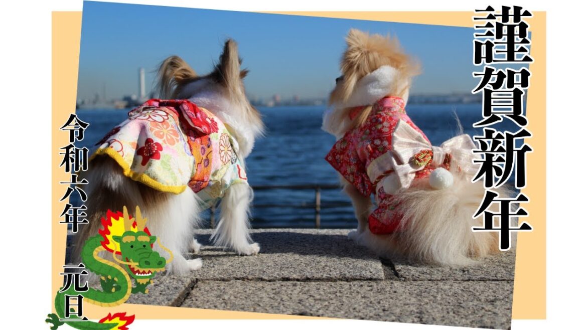 【新年のご挨拶】パピヨン アネラ　ポメラニアン ナル　パパアネラより