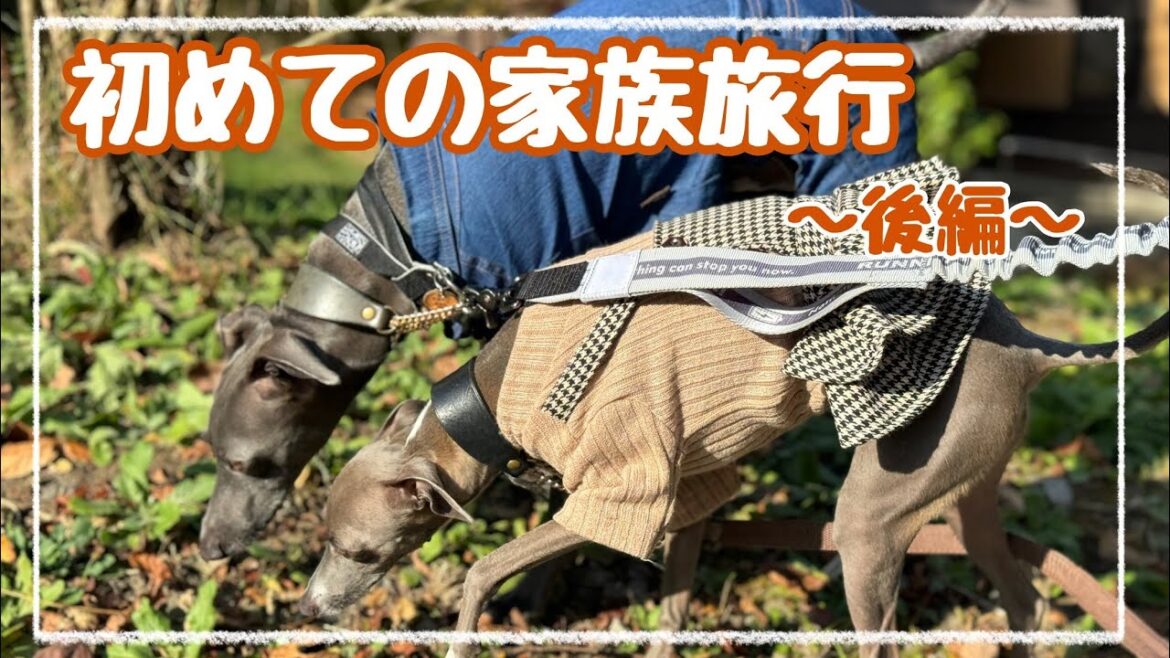 【イタグレ】初めての家族旅行～後編～