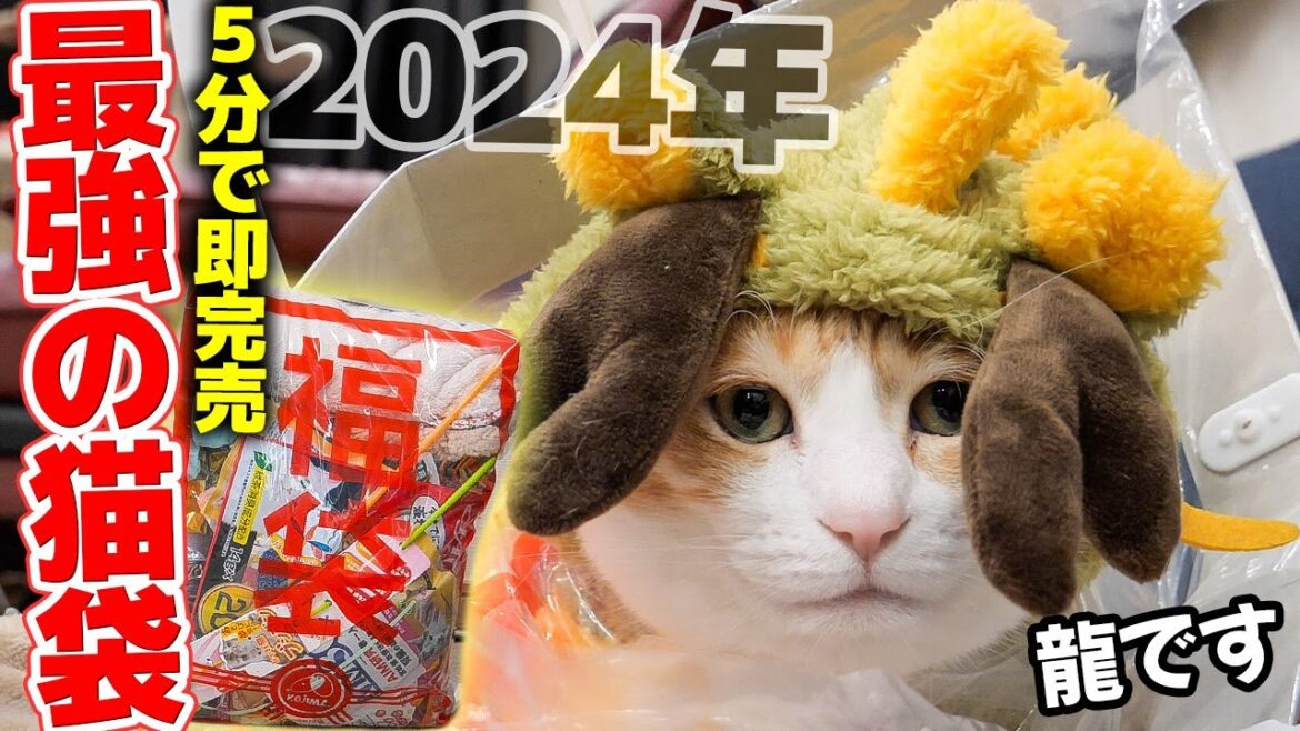 【猫袋】開店して5分で売り切れる最強の福袋を開封したら中身がすごすぎました…【2024年】