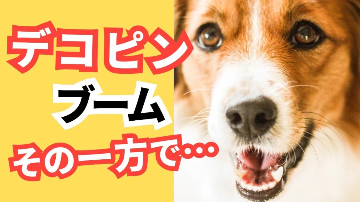 【2024懸念】デコピンブーム、その一方で起こりえるあの心配・・