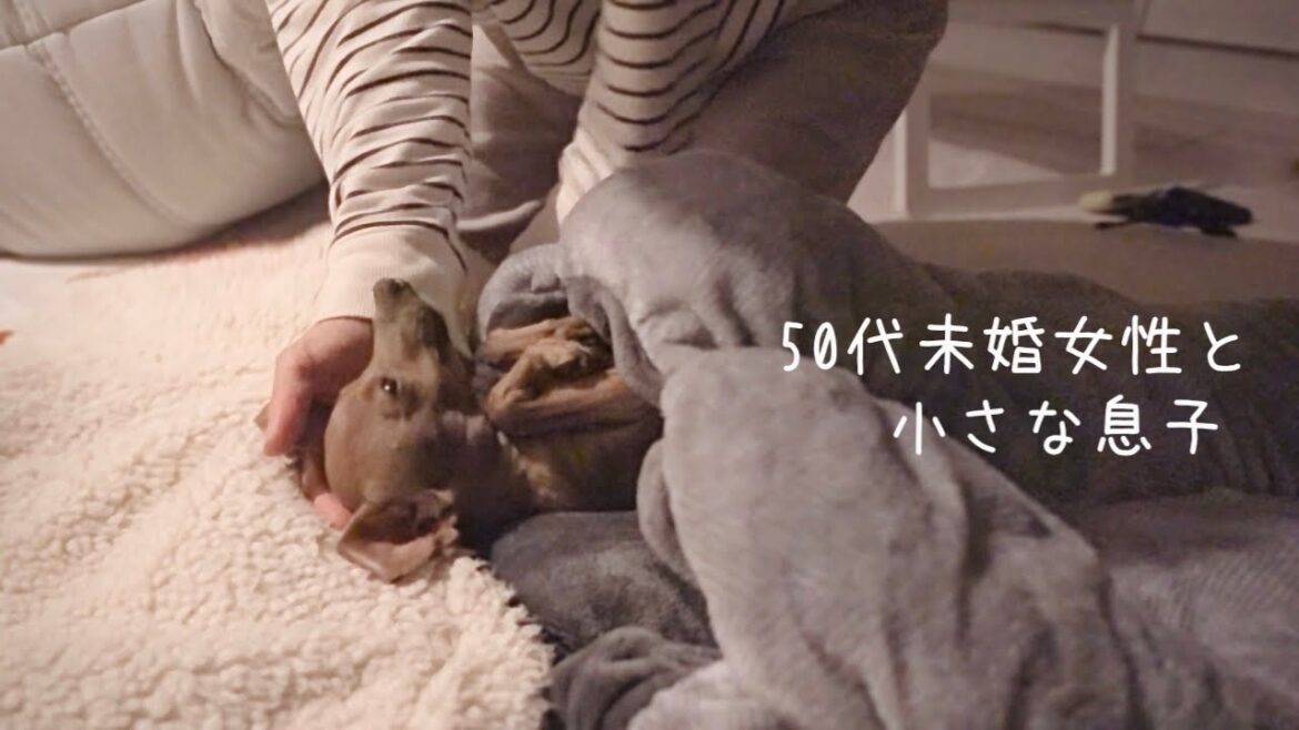 【50代、未婚、子無し】今日がどんな一日でも息子がいればあたたかく満たされる休日【ミニピン】