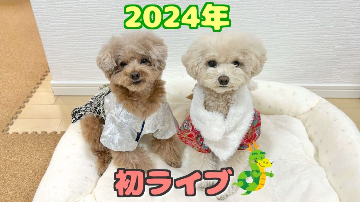 2024年初ライブ！