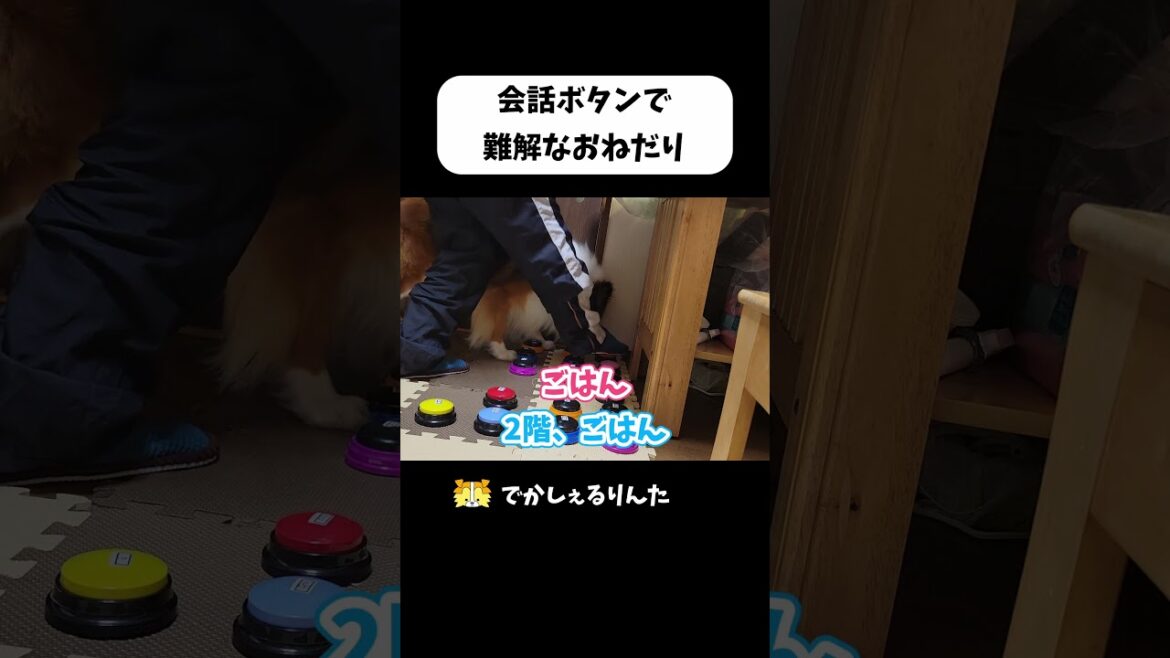 会話ボタンで難解なおねだり #shorts
