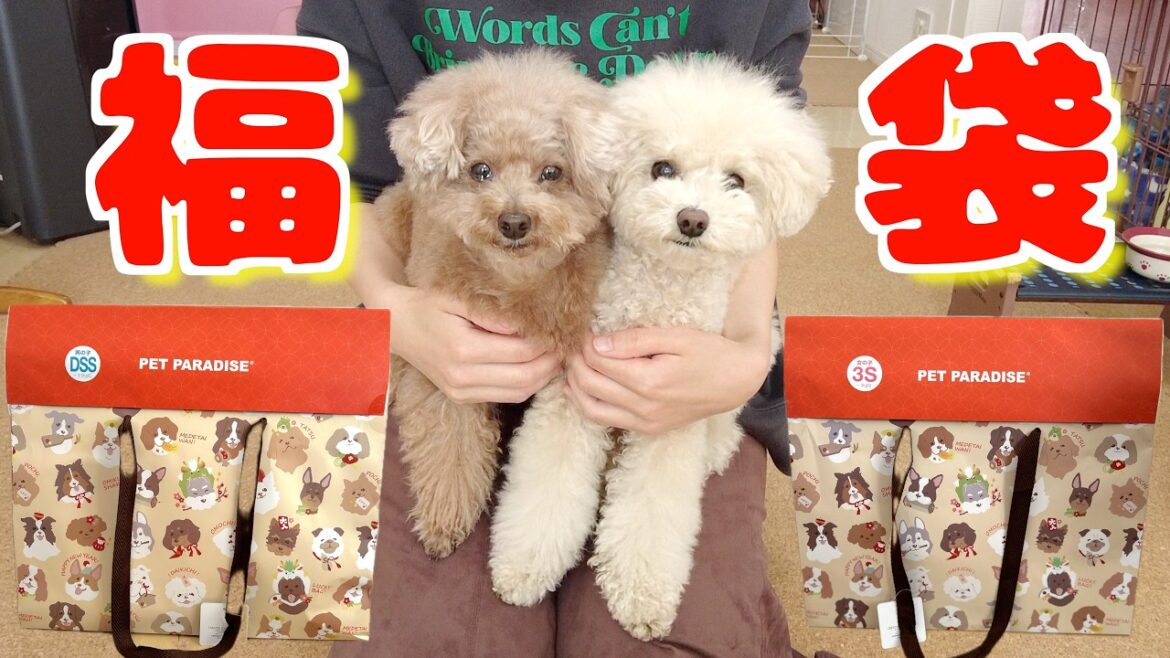 ペットパラダイスの福袋を開封したら大当たりで愛犬が…ｗ【2024年】