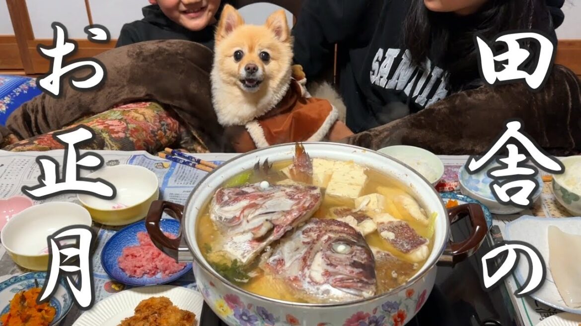 【帰省】福島の実家に帰省したアラサー独身男と愛犬のお正月に密着！！！