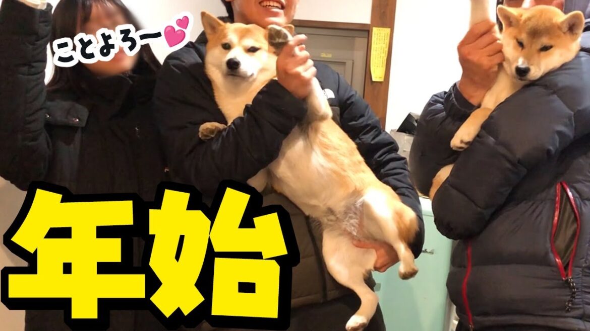 ご挨拶 今年もよろしくお願いします
