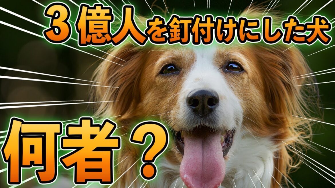 全米を沸かせた大谷翔平の相棒犬 ”コーイケルホンディエ"とは！？ 【ゆっくり解説】