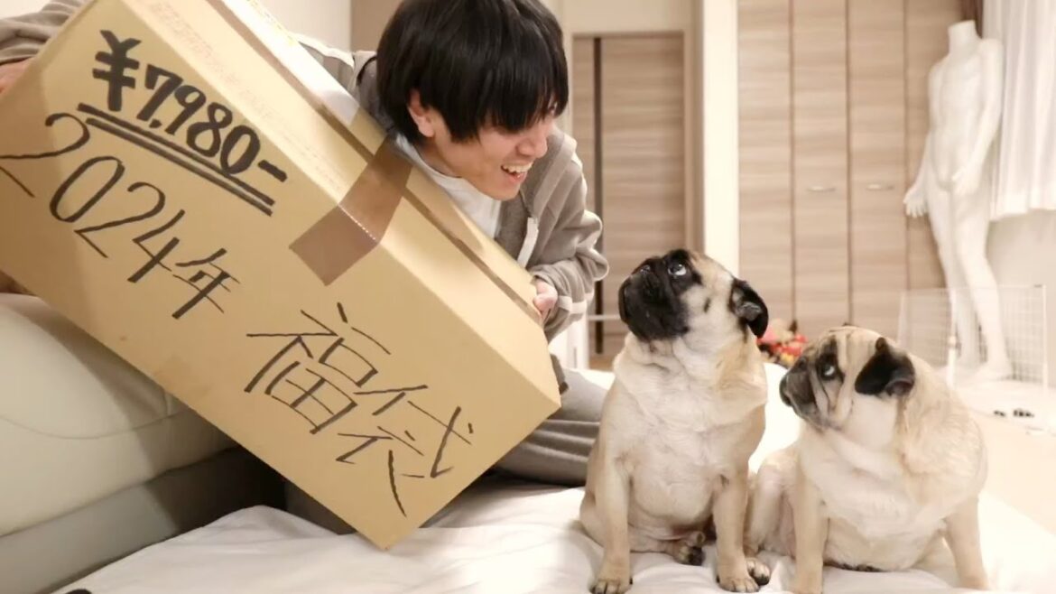 【生配信】ネットで買った7,980円のペットショップ福袋には何が入ってるのか！