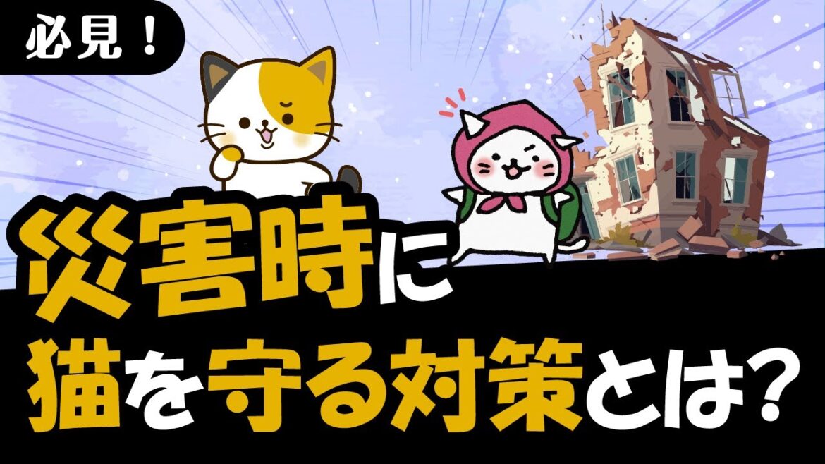 【猫への防災対策】被災した時に猫を守るための備えと準備を徹底解説