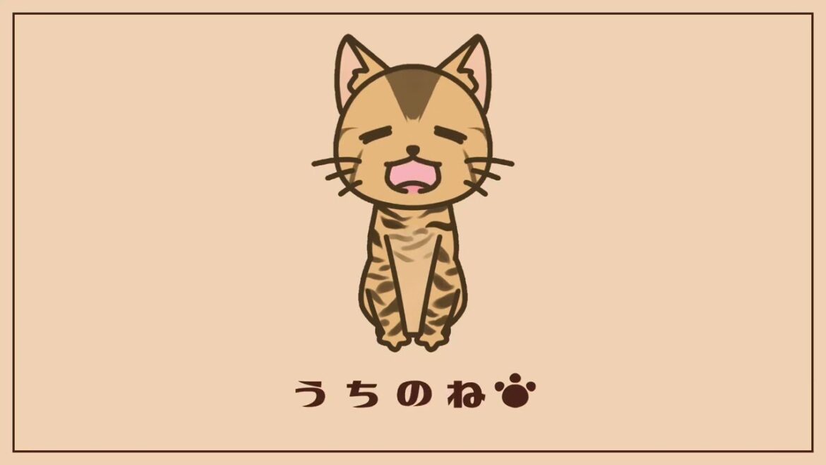 【ベンガル猫】ようこそわが家へ【お迎え初日】Kitten 1st day