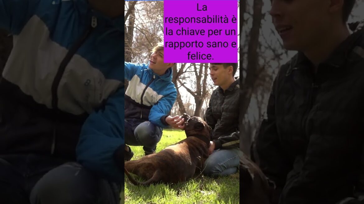 Proteste PIT BULL  #viral #short